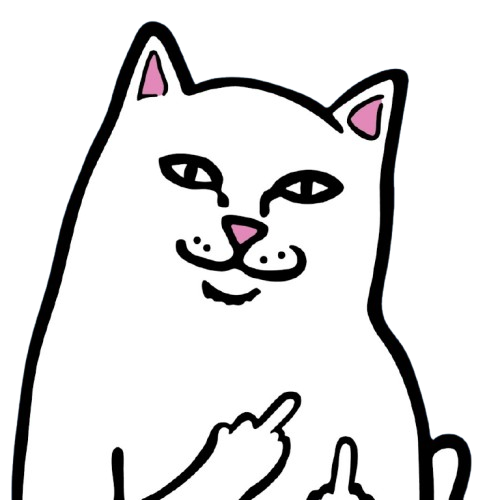 Collab with Ripndip